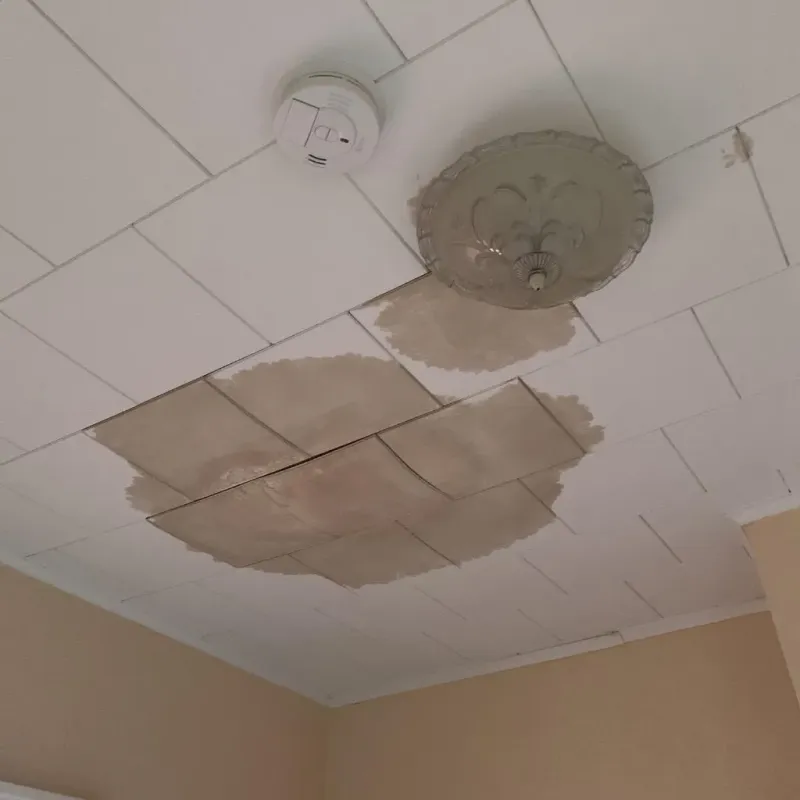 Ceiling Water Damage Repair in Griggs County, ND