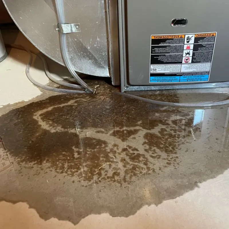 Pipe Burst and Leak Restoration in Griggs County, ND