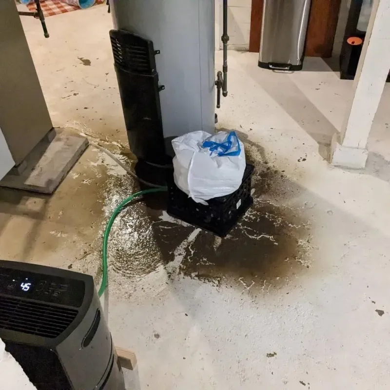 Sewage Backup Cleanup Service in Griggs County, ND